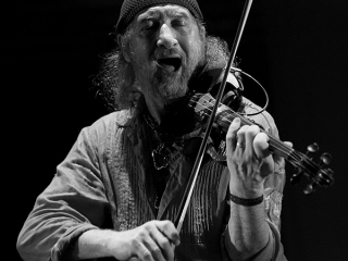 Gogol Bordello na INmusic Festivalu (Foto: Tomislav Sporiš)