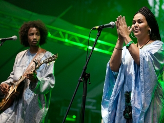 Tamikrest na INmusic Festivalu (Foto: Tomislav Sporiš)