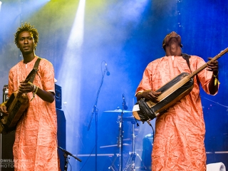 Bassekou Kouyate & Ngoni Ba na INmusic festivalu (Foto: Tomislav Sporiš)