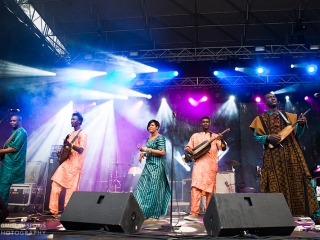 Bassekou Kouyate & Ngoni Ba na INmusic festivalu (Foto: Tomislav Sporiš)
