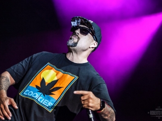 Cypress Hill na festivalu Nova Rock 2016 (Foto: Roberto Pavić)