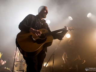 Fink u Močvari (Foto: Tomislav Sporiš)