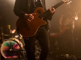 Fink u Močvari (Foto: Tomislav Sporiš)