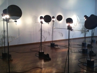 Izložba Will o’ the Wisps (Foto: Zoran Stajčić)