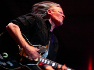 Swans (Foto: Nino Šolić)