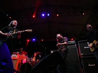 Swans (Foto: Nino Šolić)