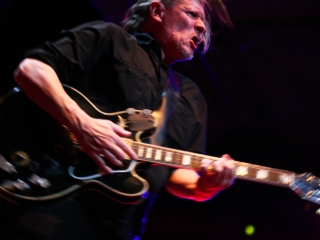 Swans (Foto: Nino Šolić)