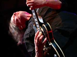 Swans (Foto: Nino Šolić)