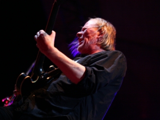 Swans (Foto: Nino Šolić)