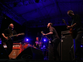 Swans (Foto: Nino Šolić)