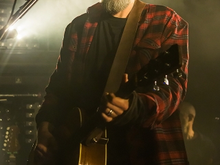 Fink u Močvari (Foto: Tomislav Sporiš)