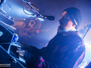 Fink u Močvari (Foto: Tomislav Sporiš)