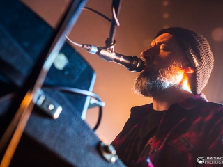 Fink u Močvari (Foto: Tomislav Sporiš)
