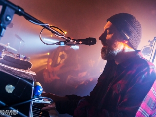 Fink u Močvari (Foto: Tomislav Sporiš)