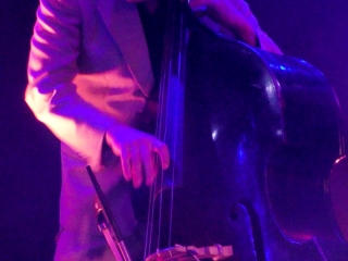 Barcelona Gipsy BalKan Orchestra u Močvari (Foto: Zoran Stajčić)
