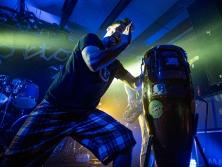 Elvis Jackson (Foto: Pia Klancar)