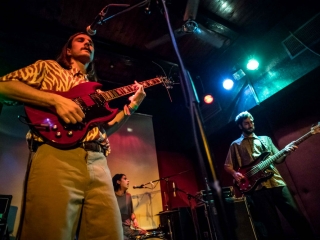 Dogs In Cavala (Foto: Pia Klancar)