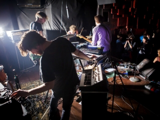 Hypochristmutreefuzz (Foto: Maša Gojić)