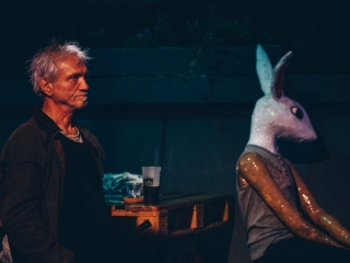 MILK na terasi Močvare (Foto: Vedran Metelko)