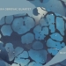 Tamara Obrovac Quartet objavio novi autorski album ‘Nuvola’