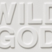 Nick Cave & The Bad Seeds ‘Wild God’ – vrijeme je za radost