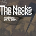 The Necks u Močvari