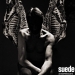 Suede najavljuje novi album ‘Antidepressants’ prvim singlom ‘Disintegrate’