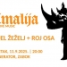 Danijel Žeželj i Roj osa u Regenerator donose jedinstveni performans Animalija