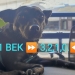 21 VEK se razišao, utjehu potražite u novom EP-iju ‘3,2,1,0.’
