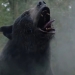 Drogirani medvjed stvara probleme u traileru za 'Cocaine Bear'