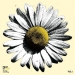 'Heart of Gold: The Songs of Neil Young, Vol. 1' - nedovoljno pustolovna dobrotvorna posveta